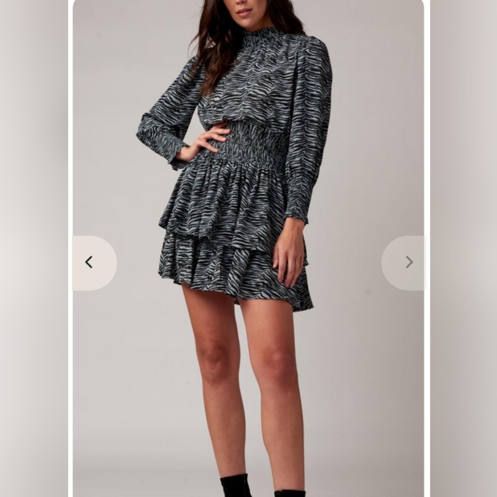 Chic Zebra Patterned Mini Dress - image 1